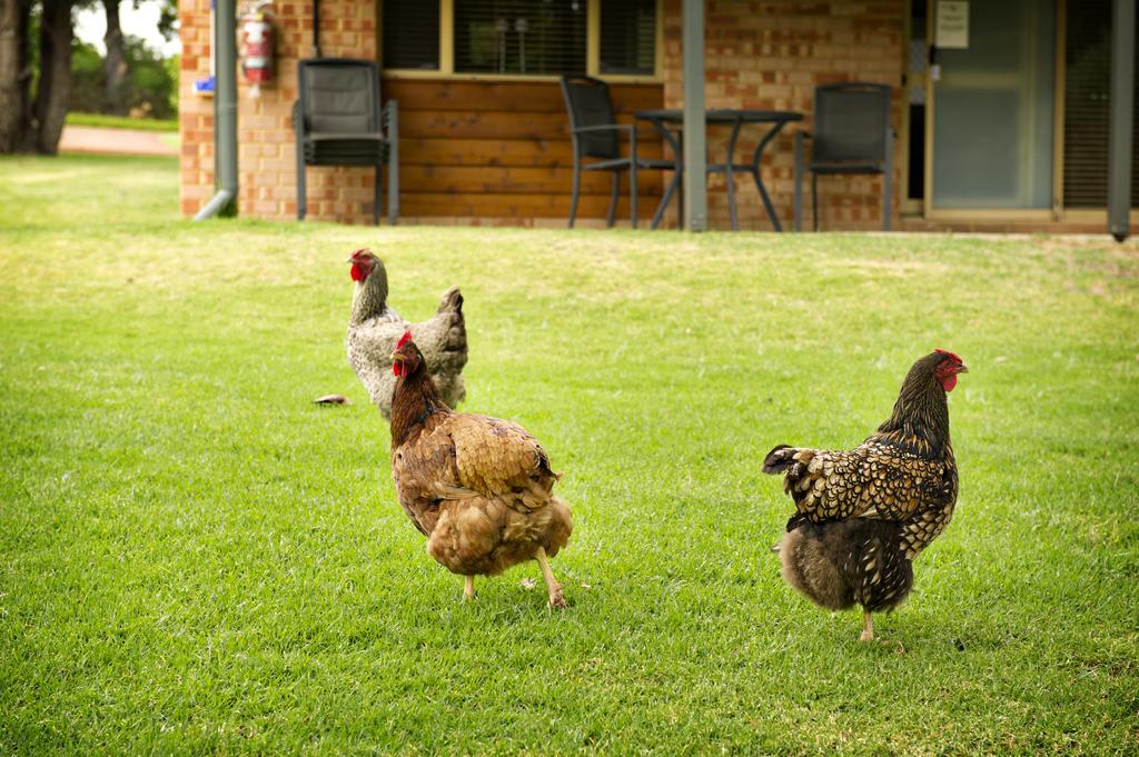 Peppermint Brook Cottages Margaret River Exterior foto